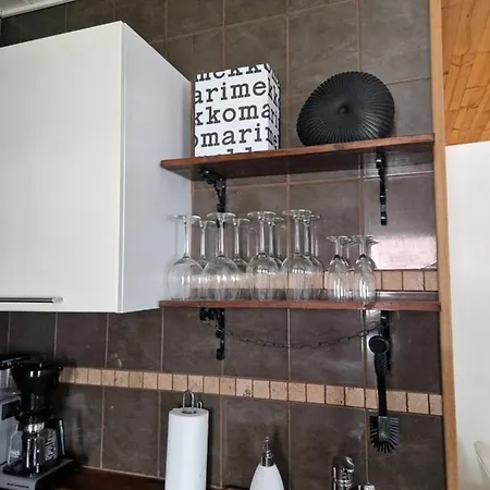 Spacious Two-room Near The Center * لاهتي